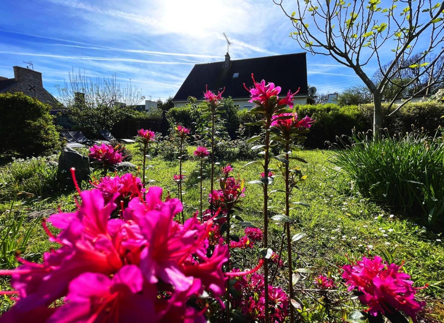 Maison Kerity With Jacuzzi - Terrace Paimpol ภายนอก รูปภาพ